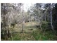 Yarras NSW 2446