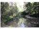 Yarras NSW 2446