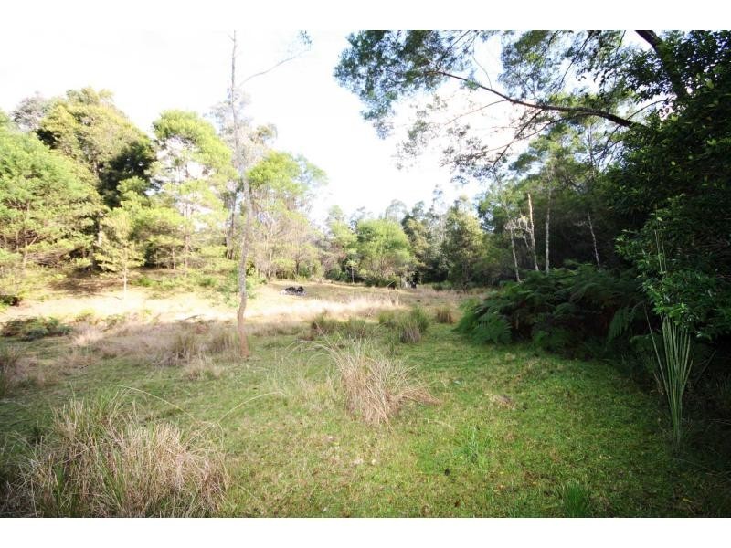 Yarras NSW 2446