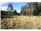 Yarras NSW 2446
