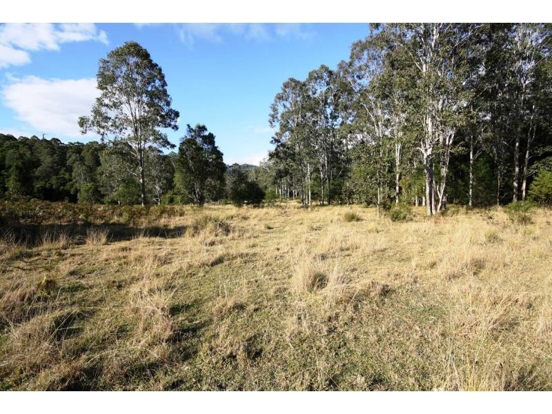 Yarras NSW 2446