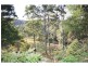 Yarras NSW 2446