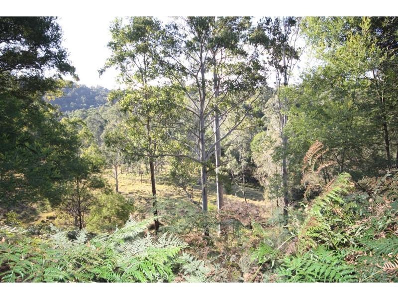 Yarras NSW 2446