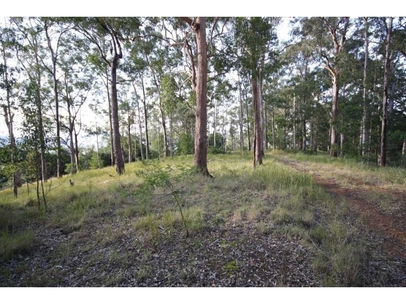 Yarras NSW 2446