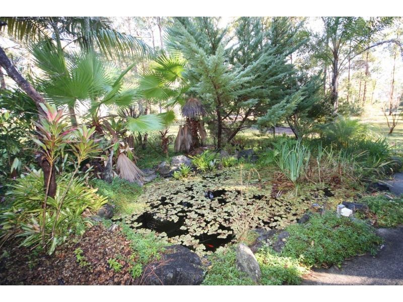 King Creek NSW 2446