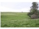 Beechwood NSW 2446