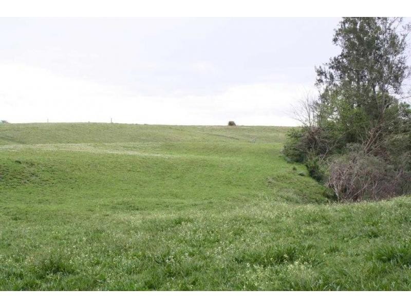 Beechwood NSW 2446