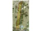 3 McGilvray Road, Bonny Hills NSW 2445