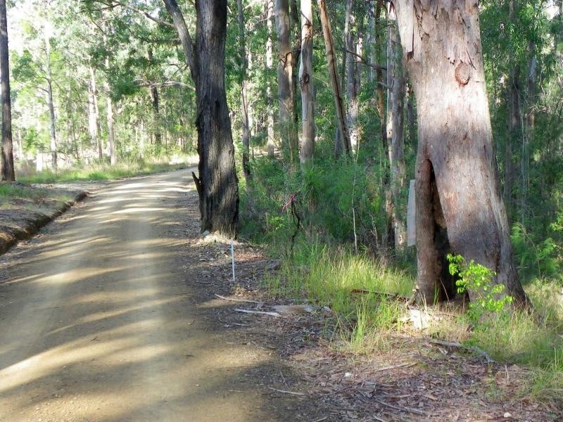 Herons Creek NSW 2443