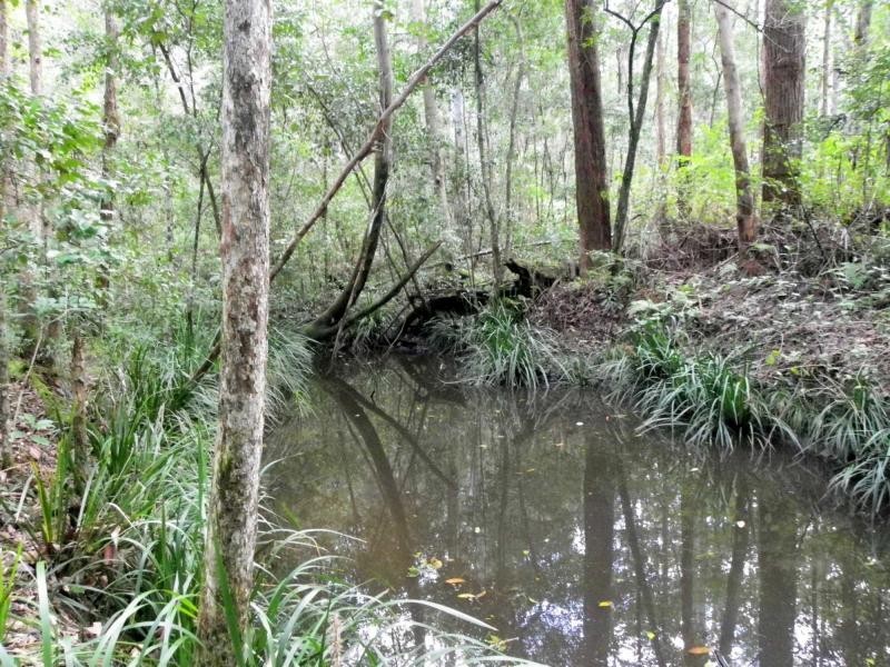 Herons Creek NSW 2443