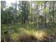 Herons Creek NSW 2443