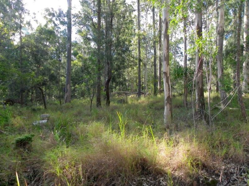 Herons Creek NSW 2443