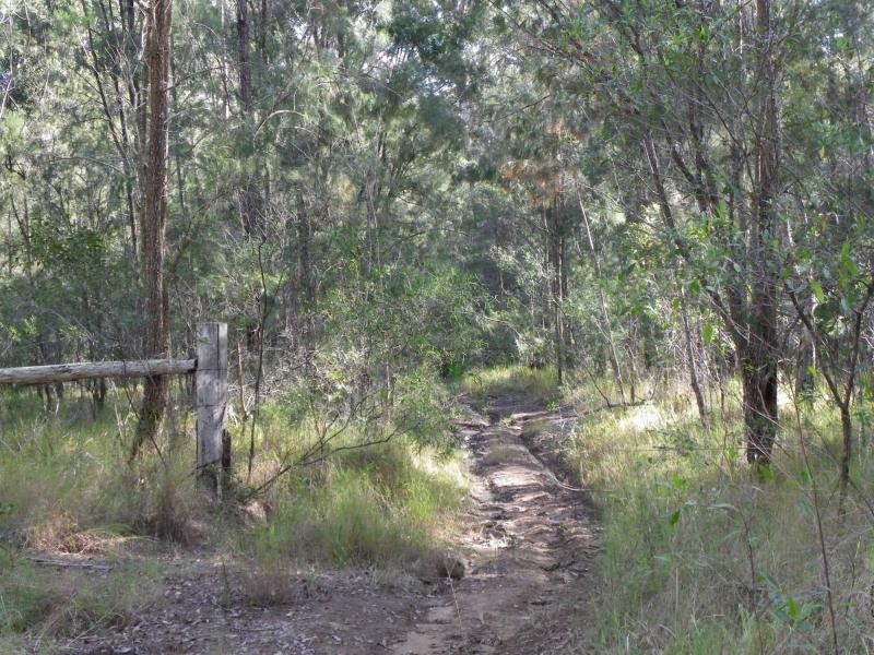 Herons Creek NSW 2443