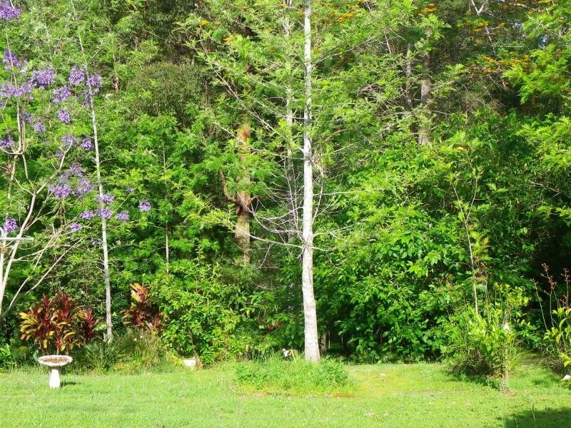 Wauchope NSW 2446