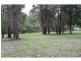 King Creek NSW 2446