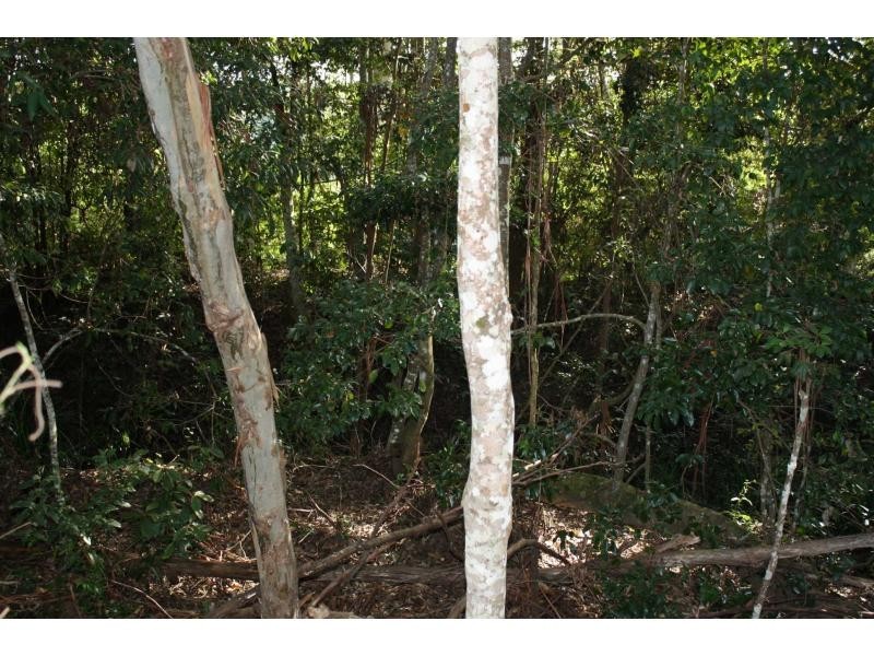 King Creek NSW 2446