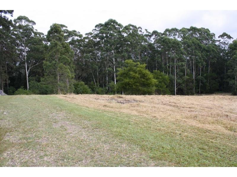 King Creek NSW 2446