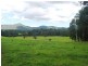 Bellangry NSW 2446