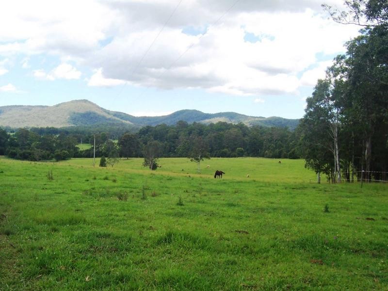 Bellangry NSW 2446