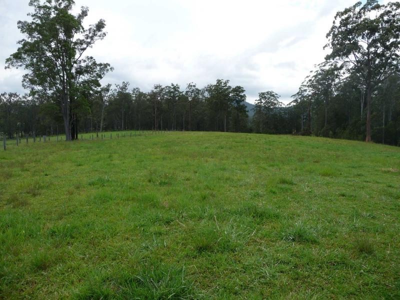 Bellangry NSW 2446