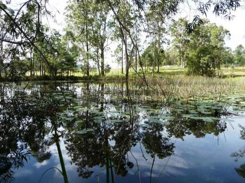 Bellangry NSW 2446