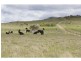 Bungendore NSW 2621