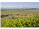 Bungendore NSW 2621