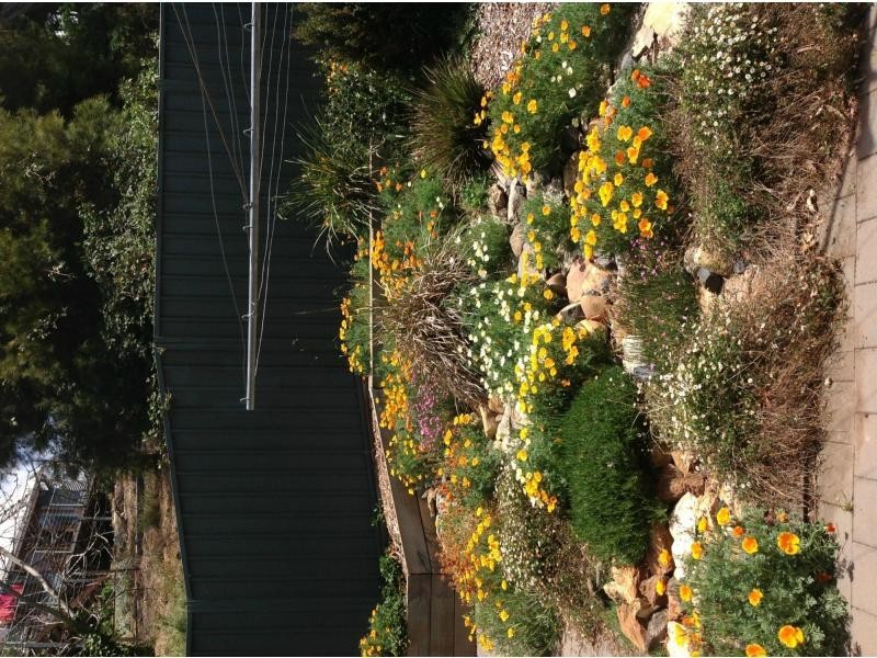 Captains Flat NSW 2623