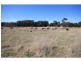 Gunning NSW 2581
