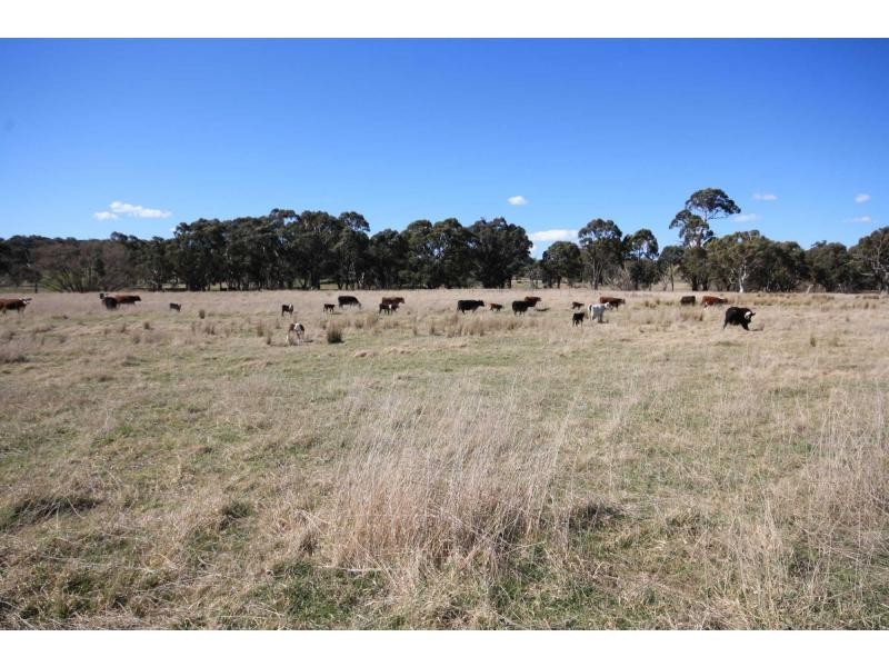 Gunning NSW 2581