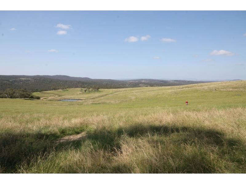 Braidwood NSW 2622