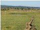 Braidwood NSW 2622
