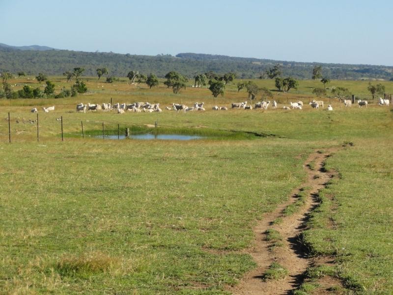 Braidwood NSW 2622