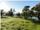 Braidwood NSW 2622