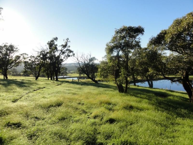 Braidwood NSW 2622