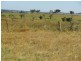 Braidwood NSW 2622