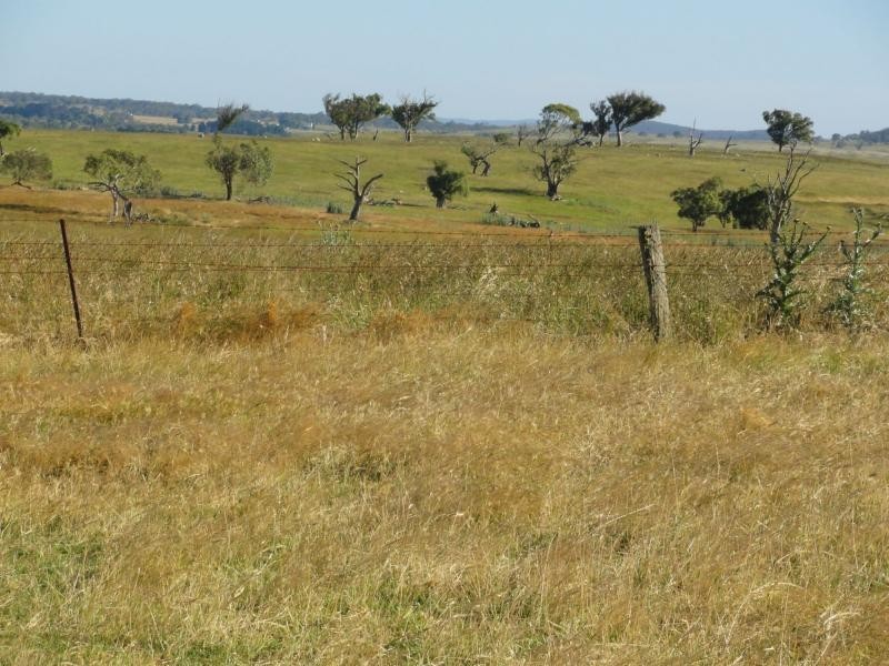 Braidwood NSW 2622