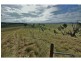 Tarago NSW 2580