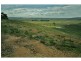 Tarago NSW 2580