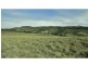 Tarago NSW 2580