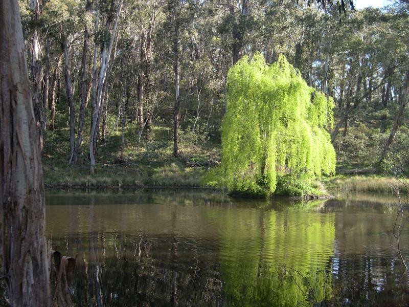 Captains Flat NSW 2623