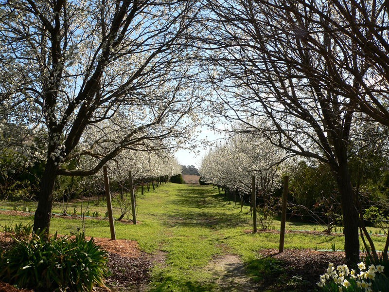 Bungendore NSW 2621