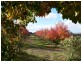 Bungendore NSW 2621
