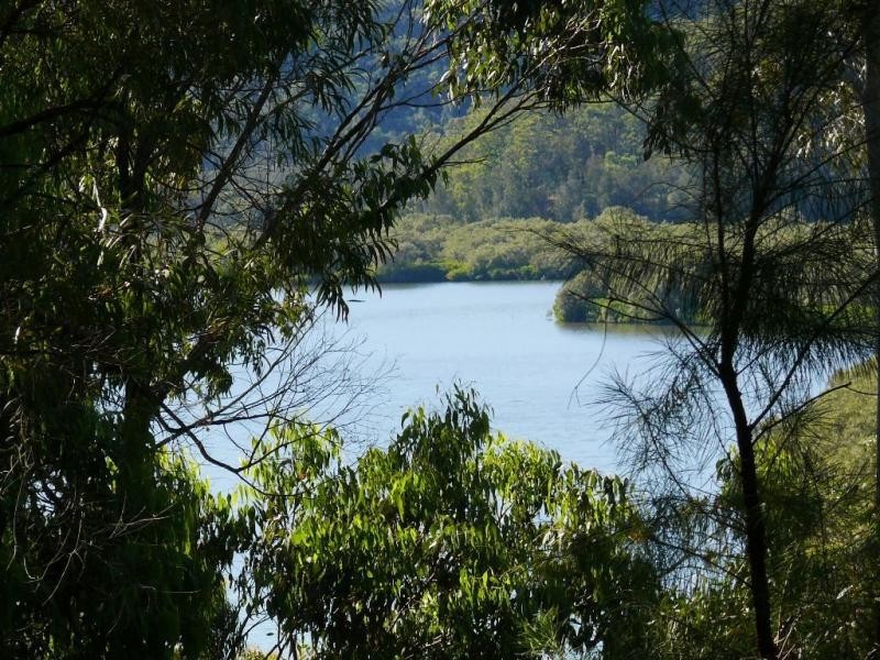 Mount White NSW 2250