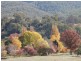 Brindabella NSW 2611
