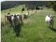 Brindabella NSW 2611