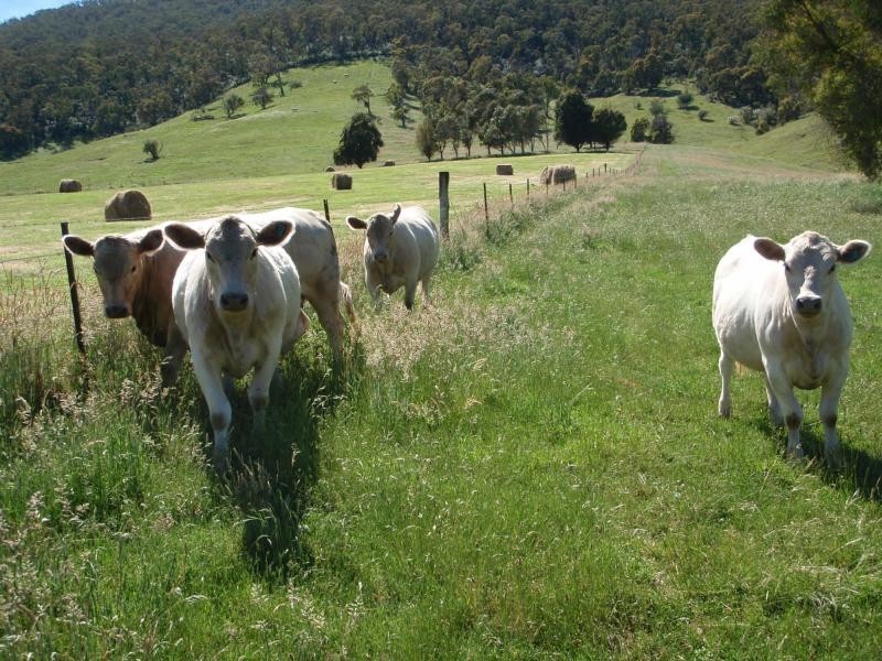 Brindabella NSW 2611