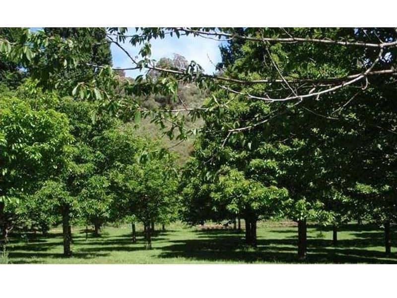 Brindabella NSW 2611