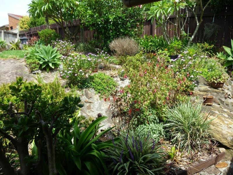 Mount Colah NSW 2079