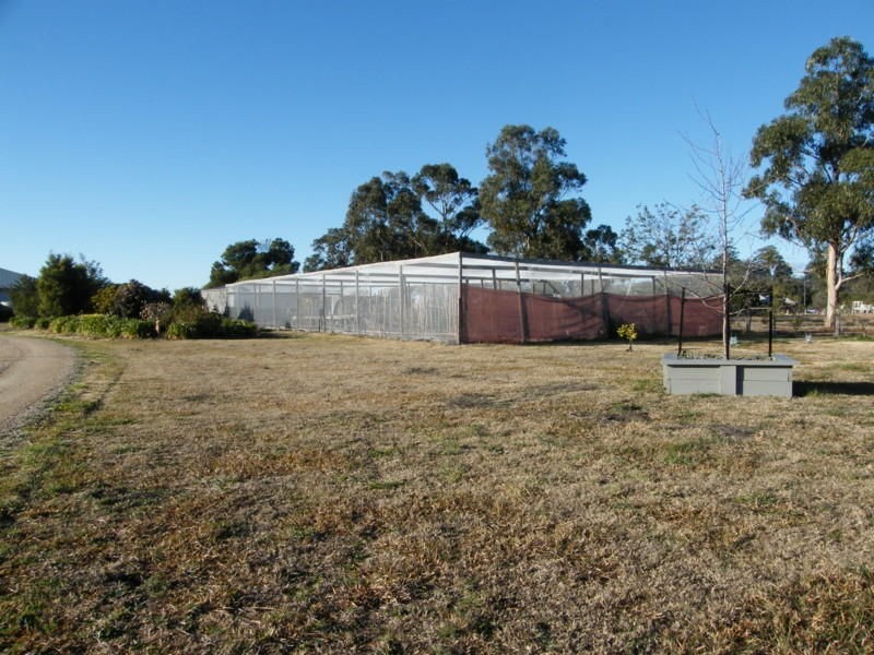 100 Rivermouth Street, Eagle Point VIC 3878